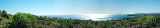 The View