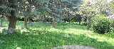 Part of the Garden