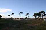 The Site