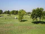 The Golf Course