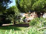 The Grounds