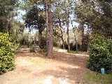 Shady Site