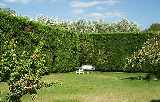 English Garden