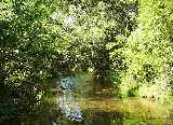 River