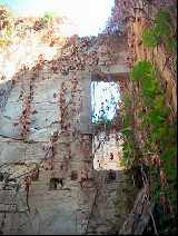Middle Room 1