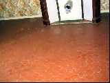 Tomette Tiled Floor