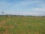 Another view of the site