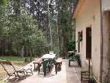The Terrace