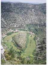 Aerial Shot