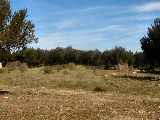 Green Field Site